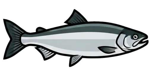 Kokanee illustration