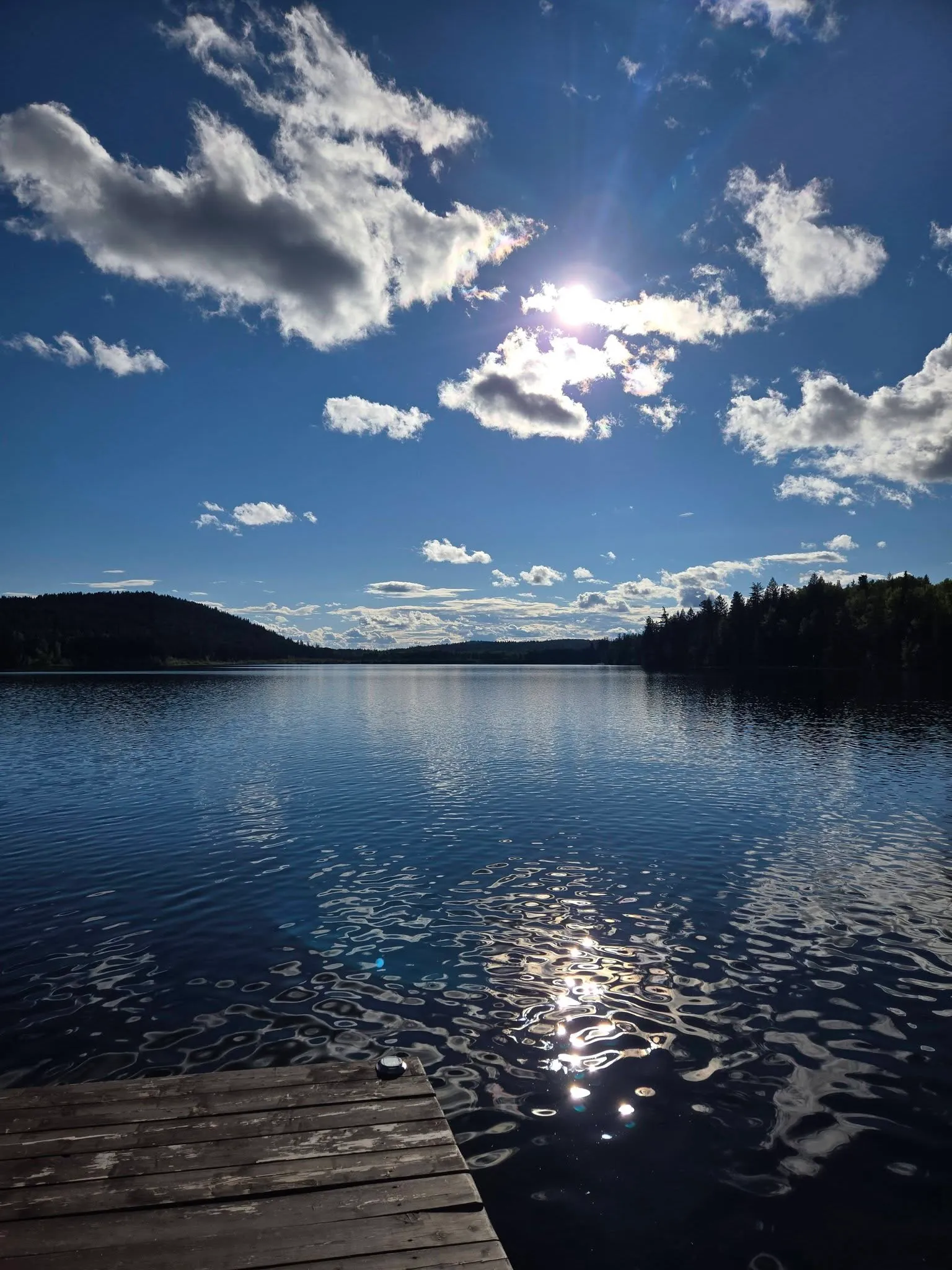 Timothy Lake: Fishing, Cabins & Lake Guide